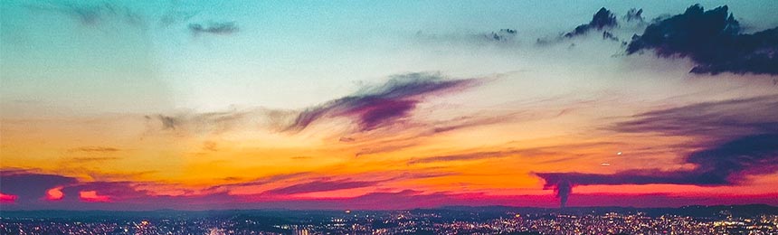 遵化市茶虫网_遵化市品茶